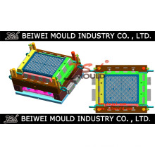 Plastic Injection Bread Crate Mould